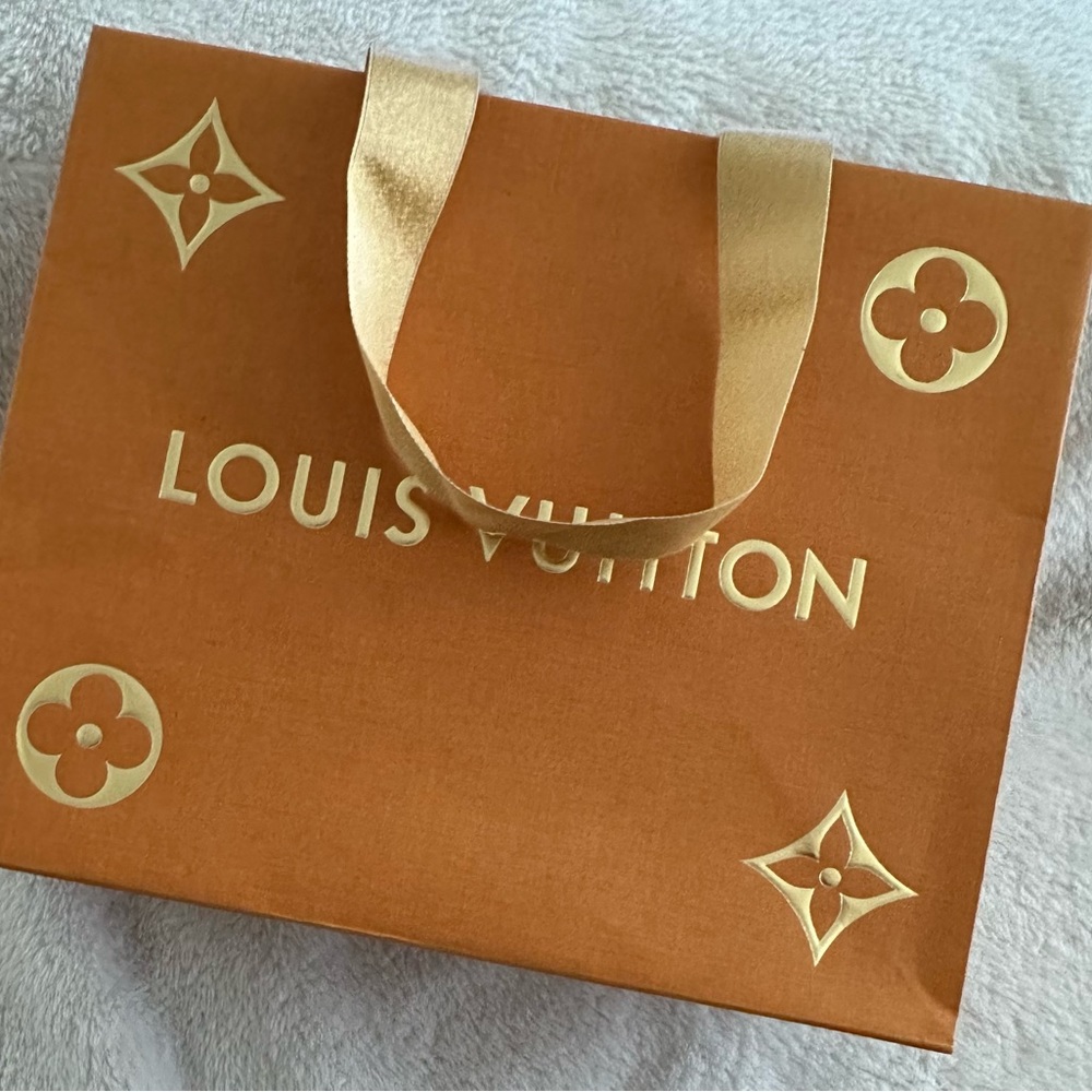 Louis Vuitton Monogram Pattern Gift Bag